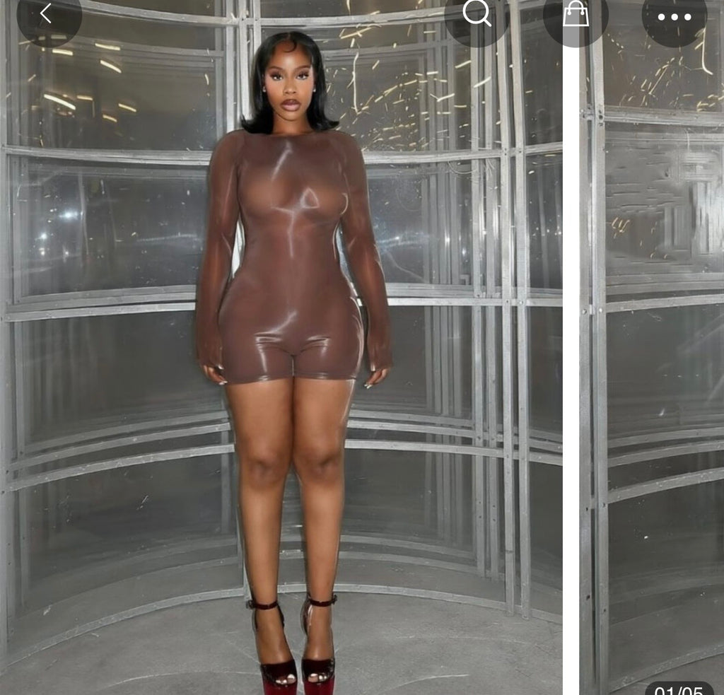 Plain Bodycon Sheer bodysuit
