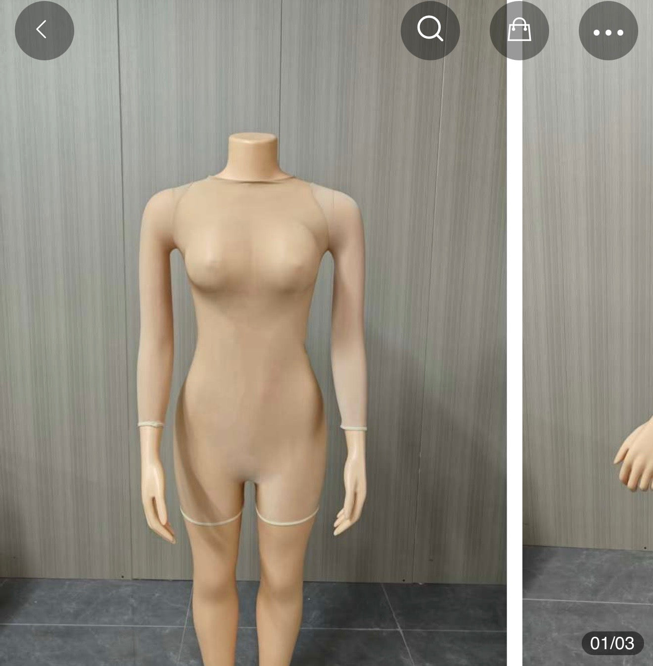 Plain Bodycon Sheer bodysuit