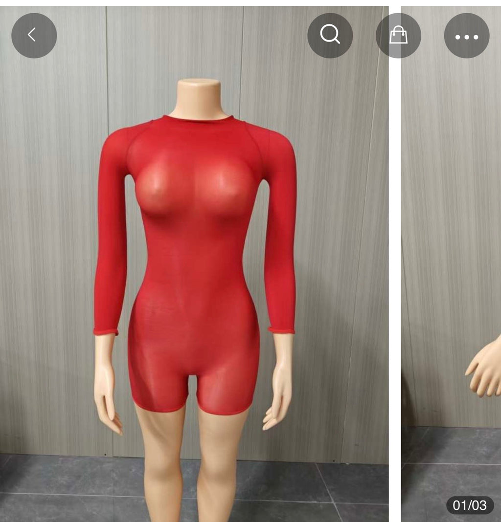 Plain Bodycon Sheer bodysuit