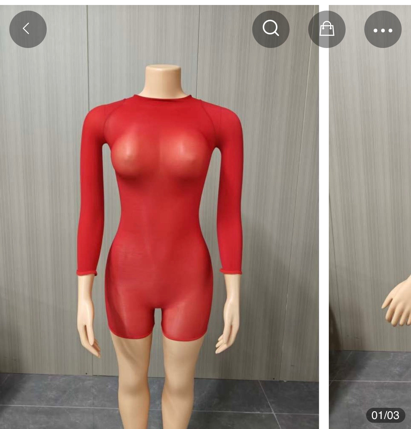 Plain Bodycon Sheer bodysuit