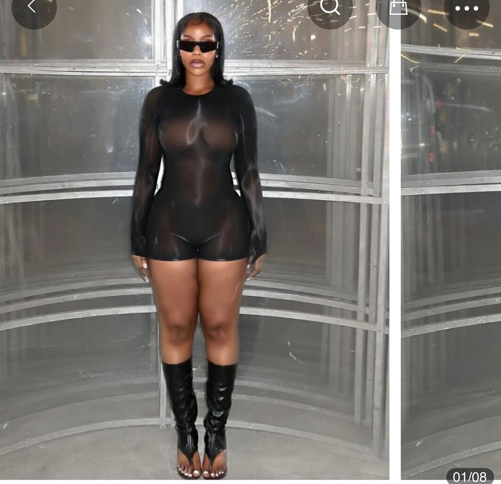 Plain Bodycon Sheer bodysuit